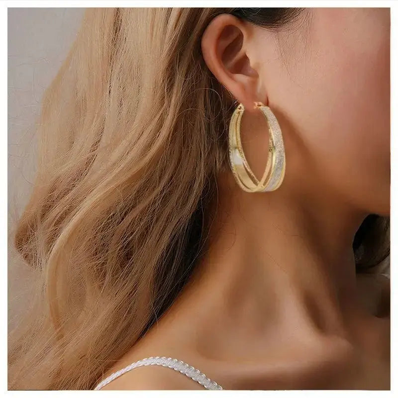 Jewelry Exaggerated Temperament Geometric Metal Frosted Earrings Fashion Earrings Women - FluxDigital